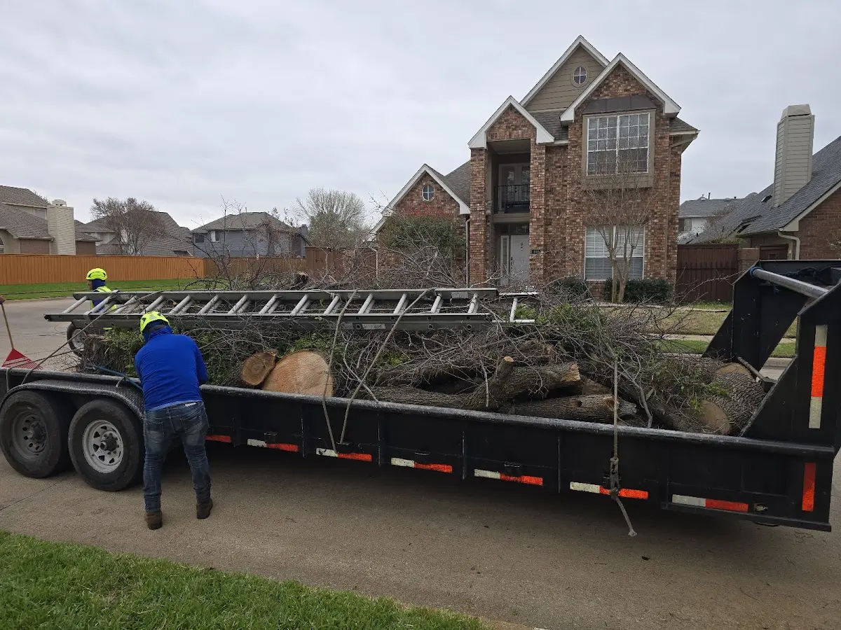 Expert Tree Pest Control with proper safety equipment in Meldrim